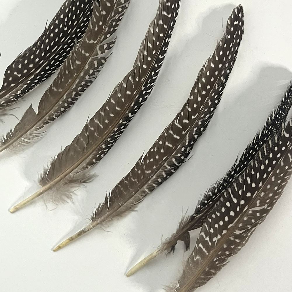Turkey Feather, Natural, 6-8 inch, Single