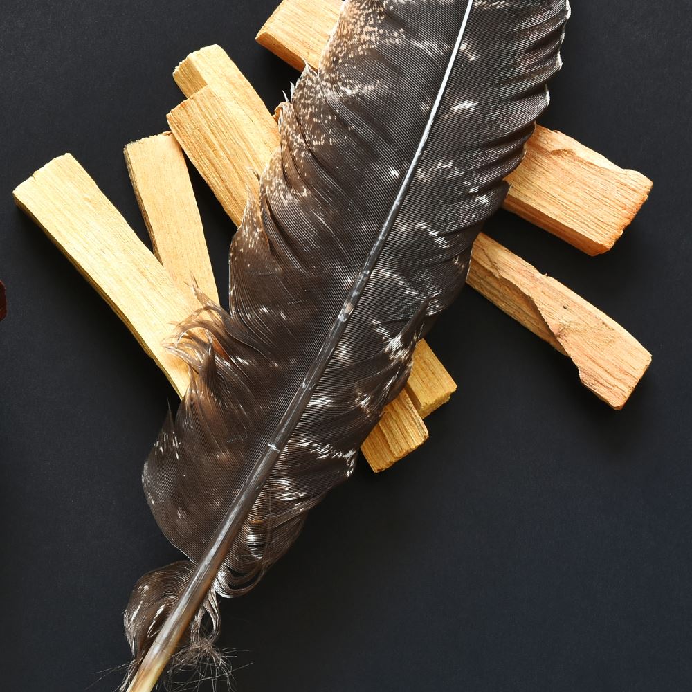 Turkey Feather, Natural, 10-12 inch, Single