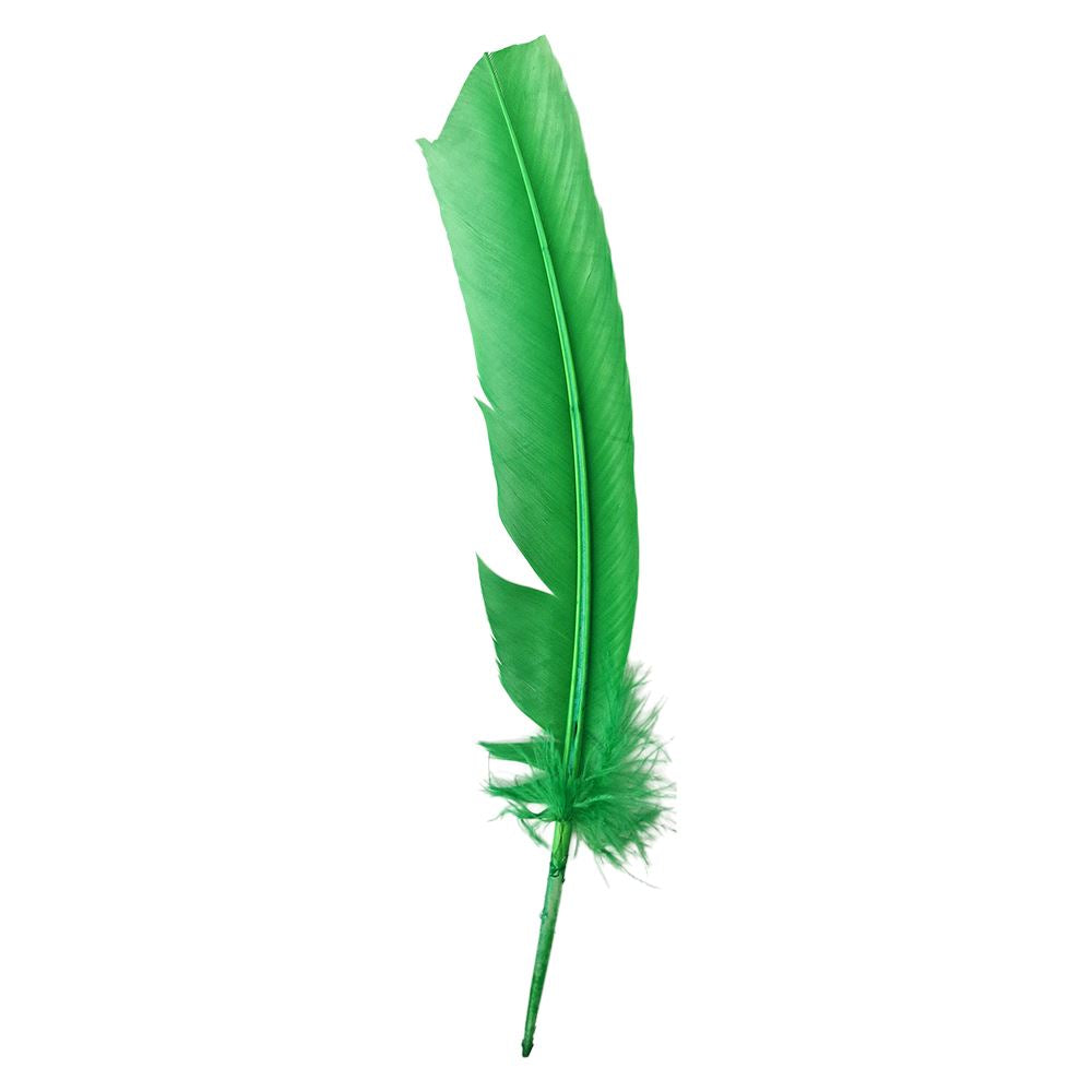 Turkey Feather, 10-12 inch, Single