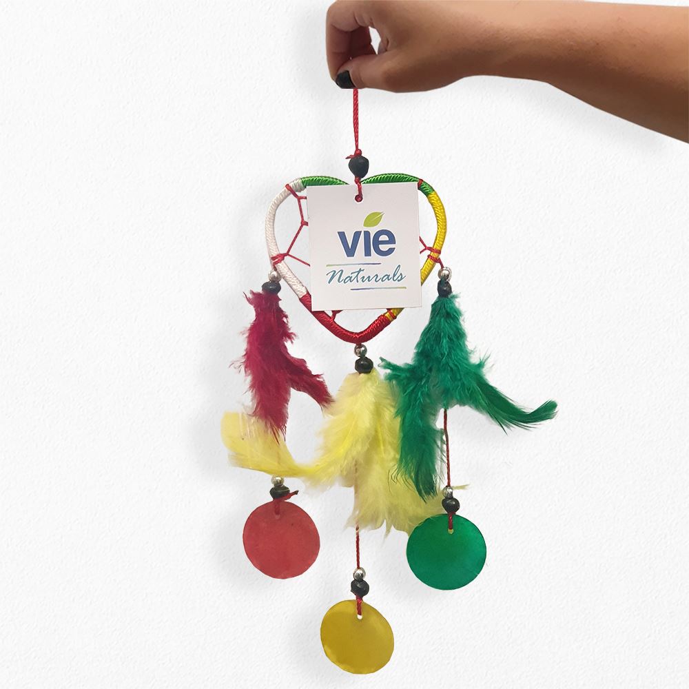 Heart Dream Catcher, Feathers & Capiz, 6cm, Rasta