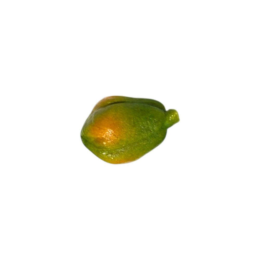 Mini Ceramic, 0.5 to 2 Cm