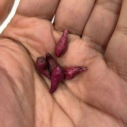 Mini Ceramic, 0.5 to 2 Cm