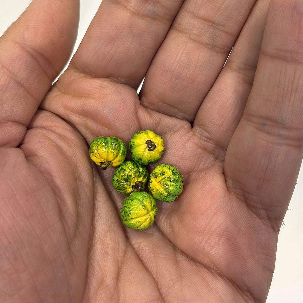 Mini Ceramic, 0.5 to 2 Cm