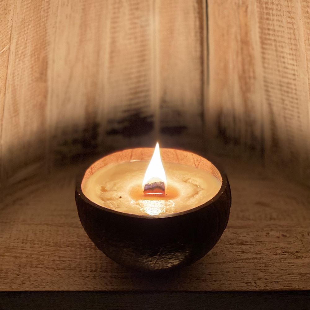 Coconut Shell Candle, Cinnamon Apple