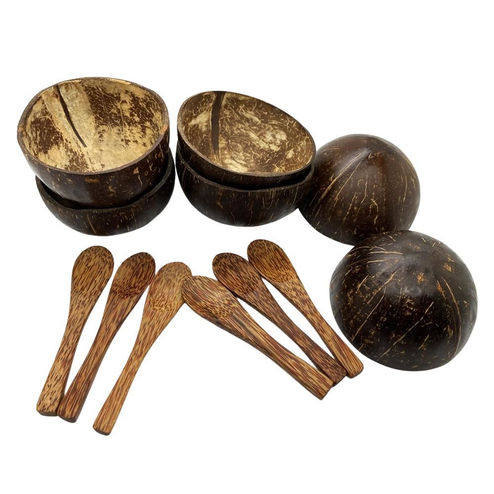 Mini Coconut Bowls and Spoons, Set of 6