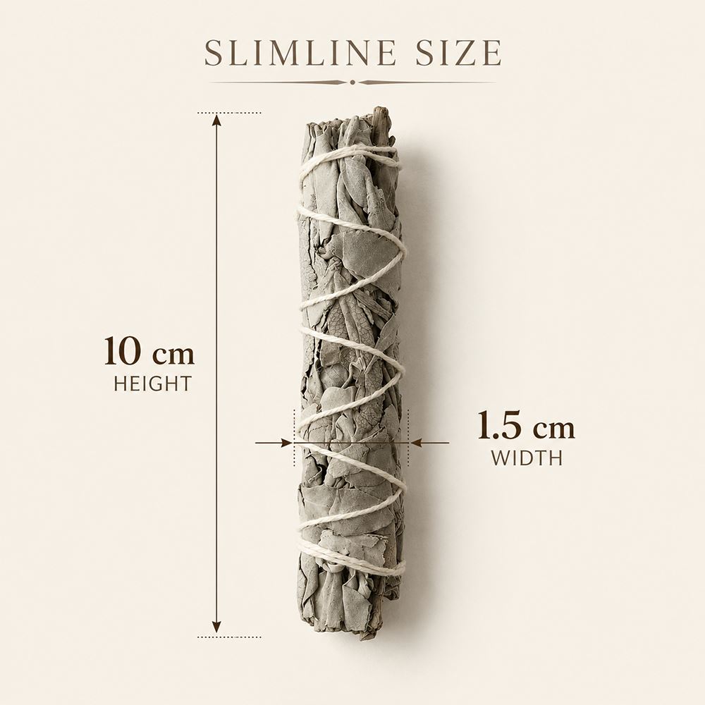 Slimline Sage Smudge Stick, White Sage 4"