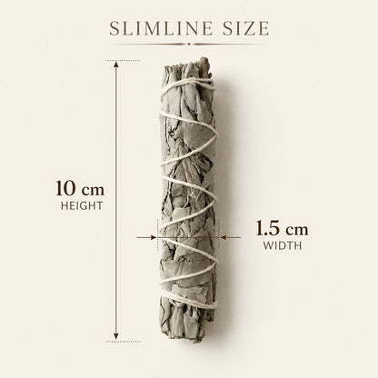 Slimline Sage Smudge Stick, White Sage 4"
