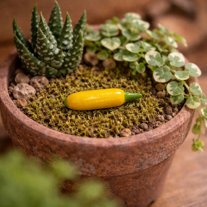 Mini Ceramic, 0.5 to 2 Cm