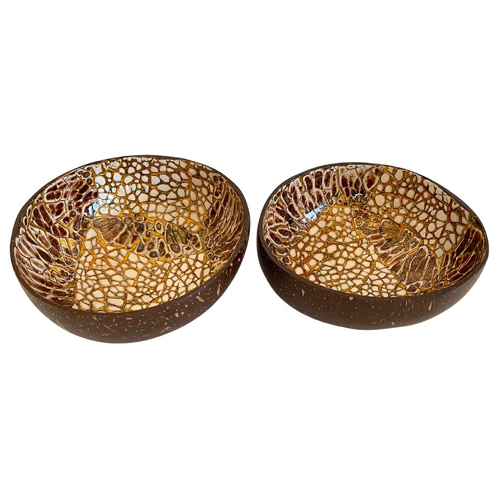 Hand-Painted Coconut Bowls, Lacquered, Set of 2