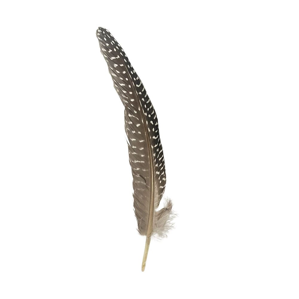 Turkey Feather, Natural, 6-8 inch, Single