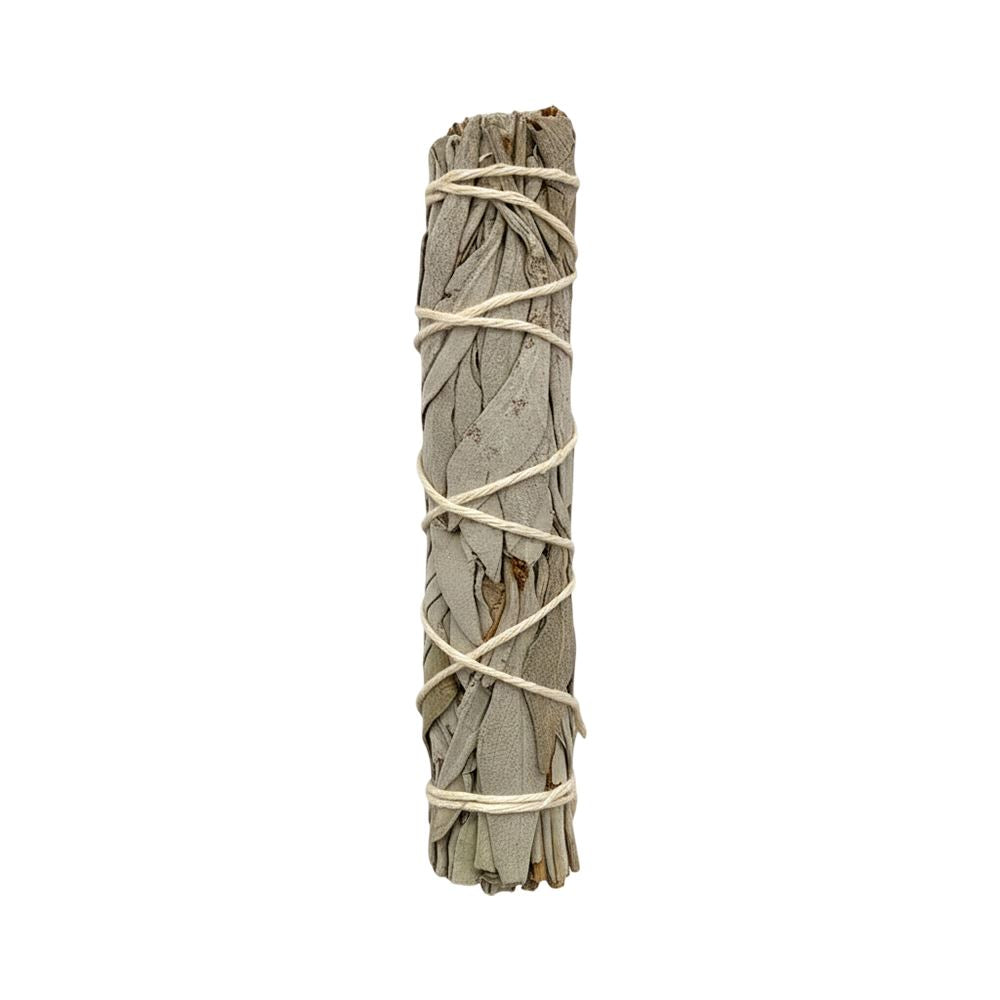 Slimline Sage Smudge Stick, White Sage 4"