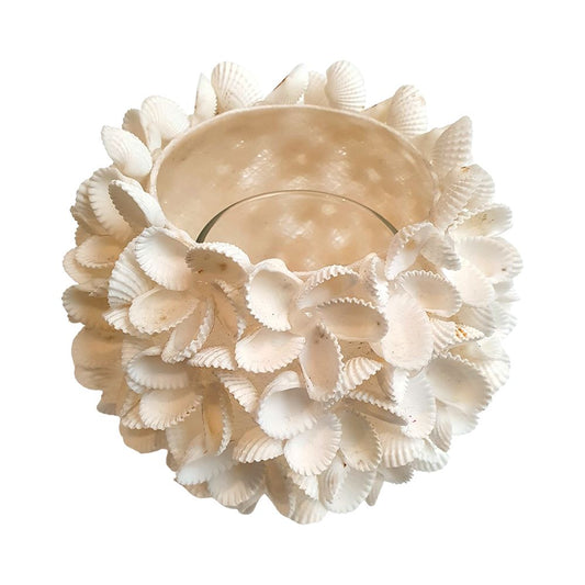 Opened Shell Tealight Holder, 13x13cm