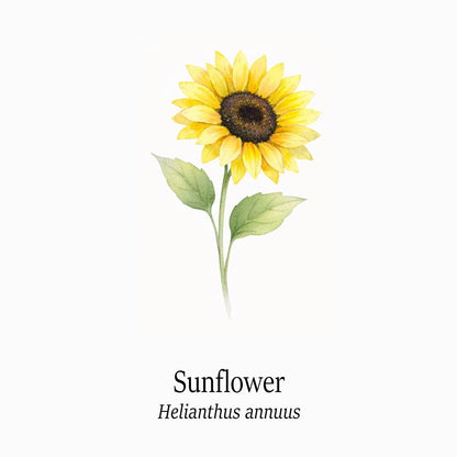 Petal Keepsakes Gemstone Bracelet, Sunflower - image 4