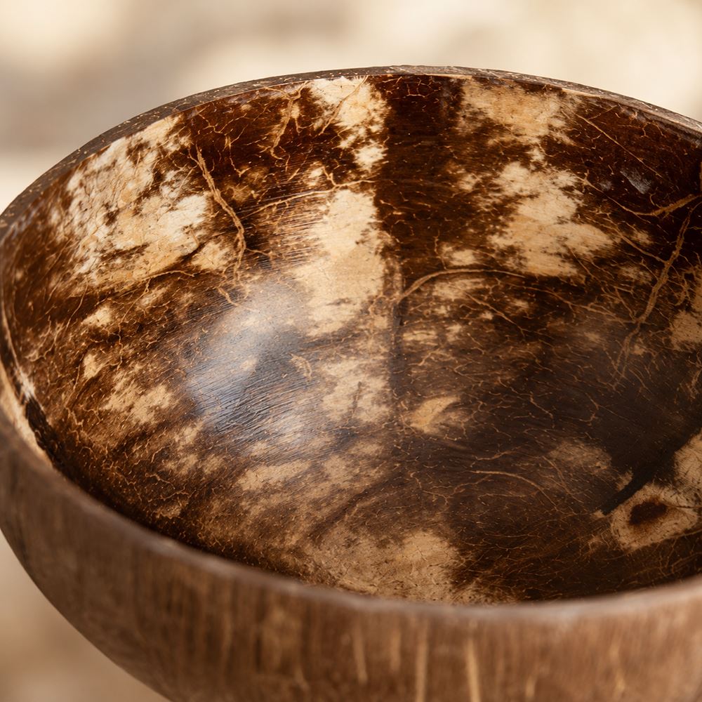 Natural Coconut Shell Bowls, Food-Safe Lacquered Interior, Medium 11-12cm Set