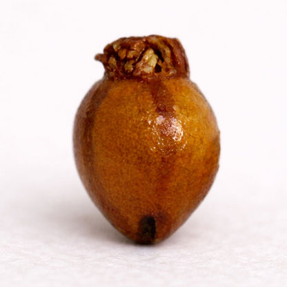 Mini Ceramic, 0.5 to 2 Cm