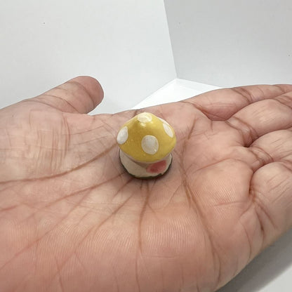 Mini Ceramic - Assorted Colour