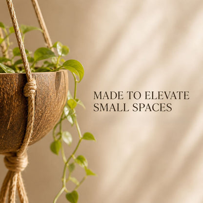 Coconut Shell Pot Holder with Macrame Jute Rope, 15x90cm - image 9