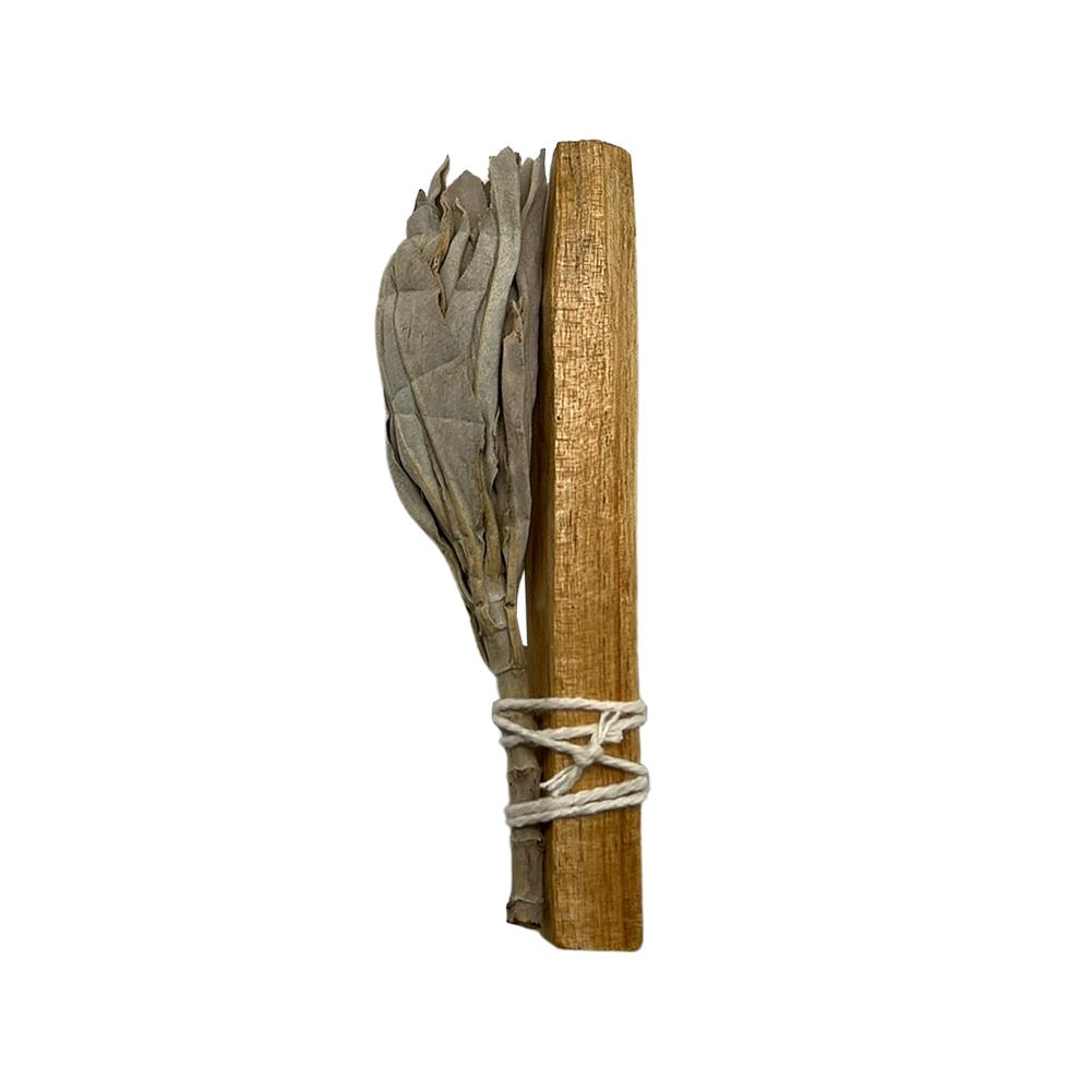 Mini White Sage Torch with Palo Santo 4"