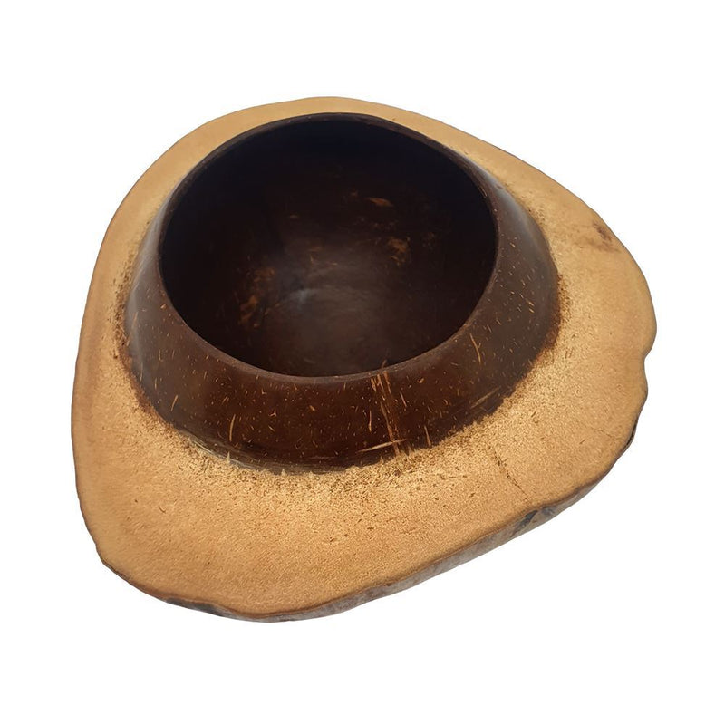 Coconut Bowl, Round Shell with Coconut Husk, 22-25cm Total Length