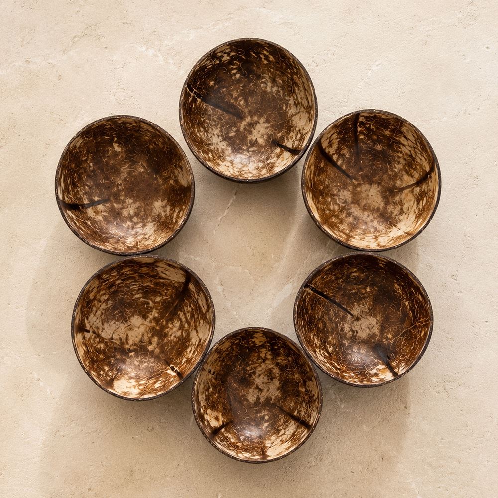 Natural Coconut Shell Bowls, Food-Safe Lacquered Interior, Medium 11-12cm Set