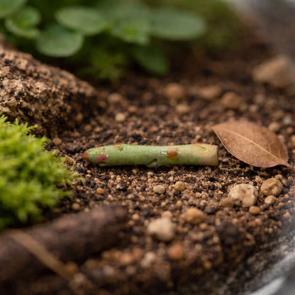 Mini Ceramic, 0.5 to 2 Cm