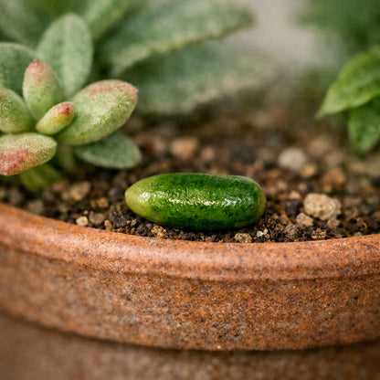 Mini Ceramic, 0.5 to 2 Cm