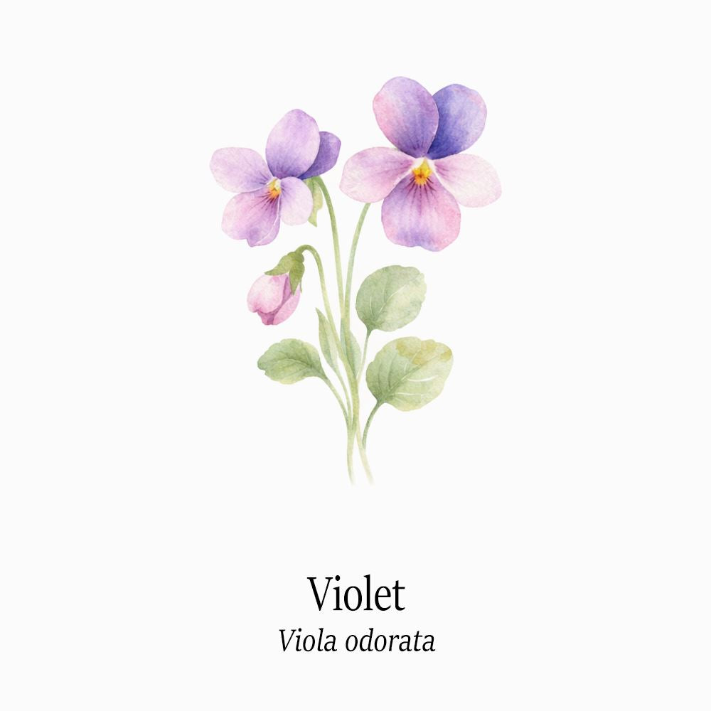 Petal Keepsakes Gemstone Bracelet, Violet - image 4