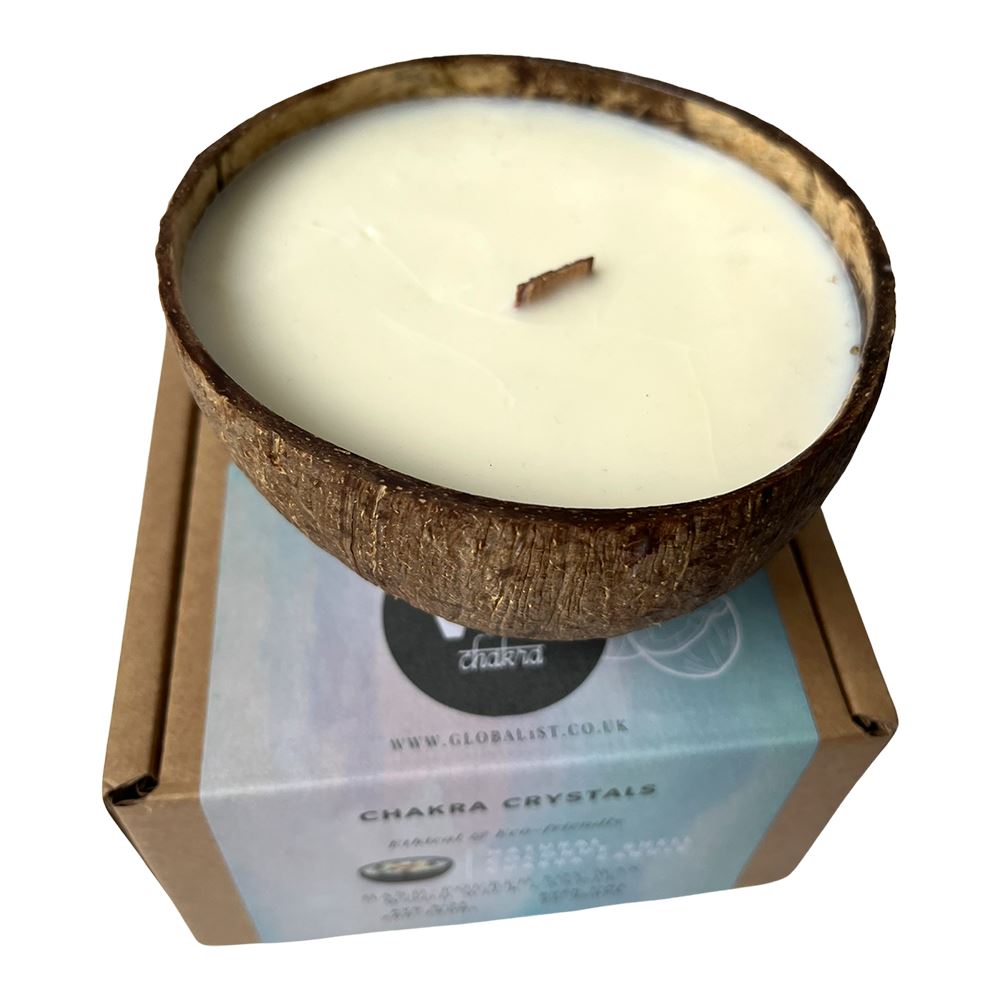 Coconut Shell Candle, Cinnamon Apple