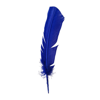 Turkey Feather