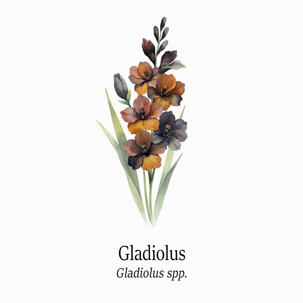 Petal Keepsakes Gemstone Bracelet, Gladiolus - image 4