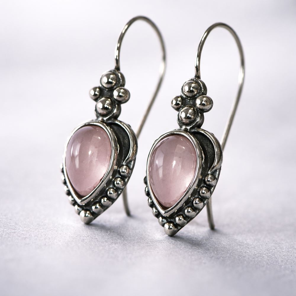 Silver-Plated Hanging Earwire Earrings (#05), 2x1cm