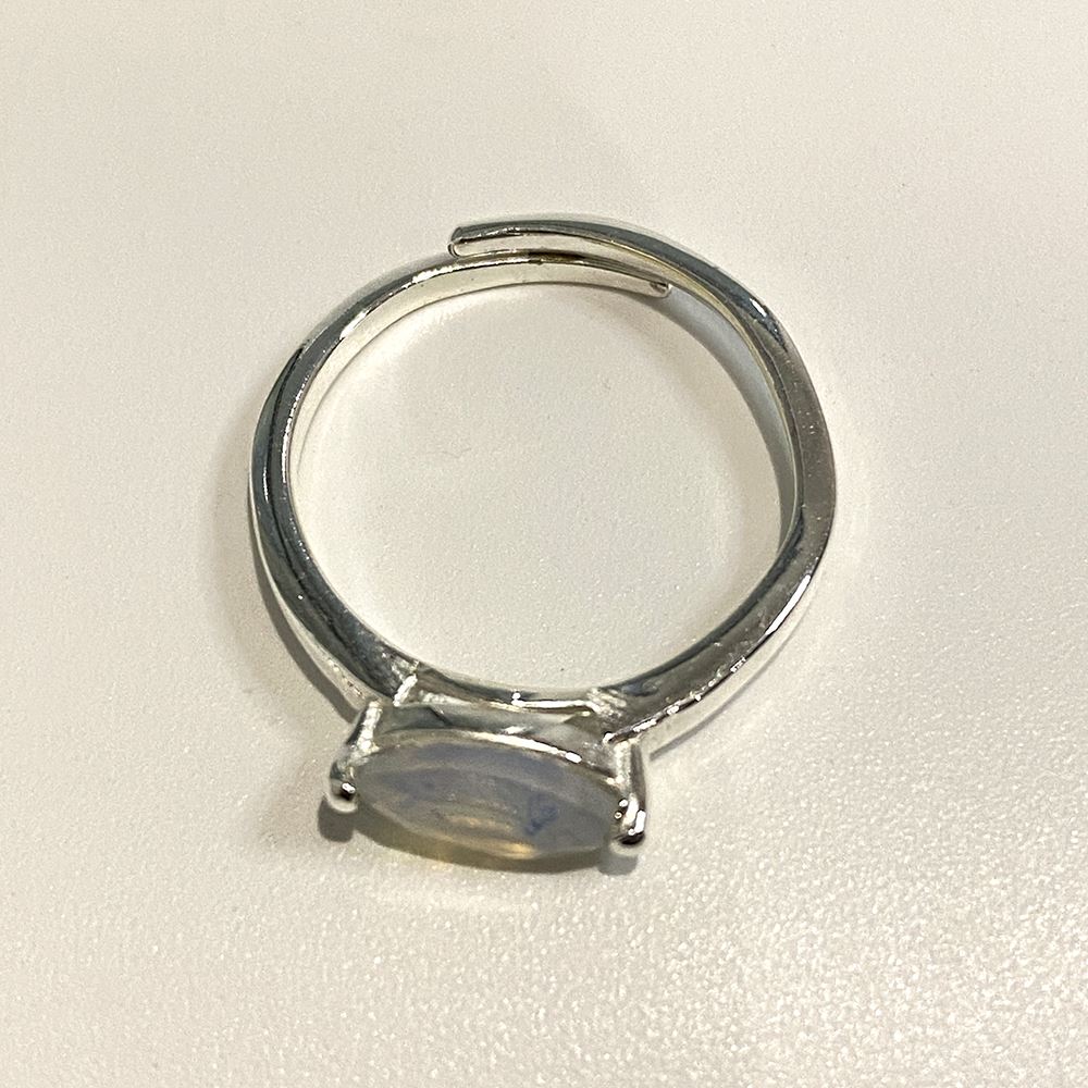 Silver-Plated Adjustable Ring (#34)
