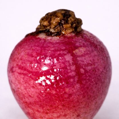 Mini Ceramic, 0.5 to 2 Cm