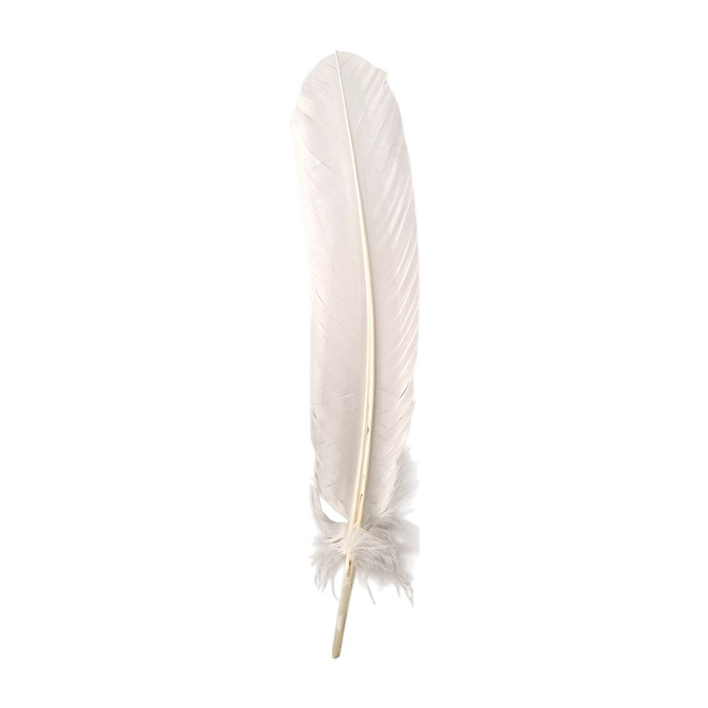 Turkey Feather