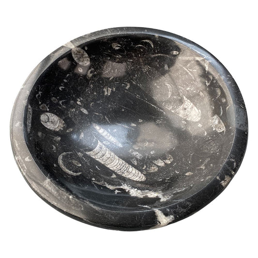 Orthoceras Bowl, 20cm