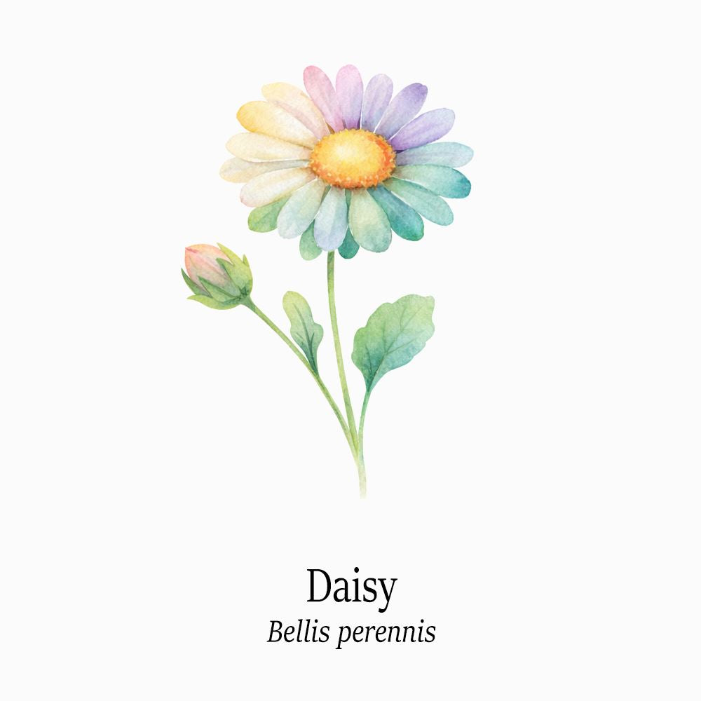 Petal Keepsakes Gemstone Bracelet, Daisy - image 4