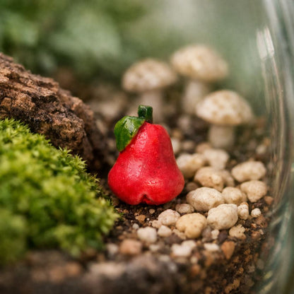 Mini Ceramic, 0.5 to 2 Cm