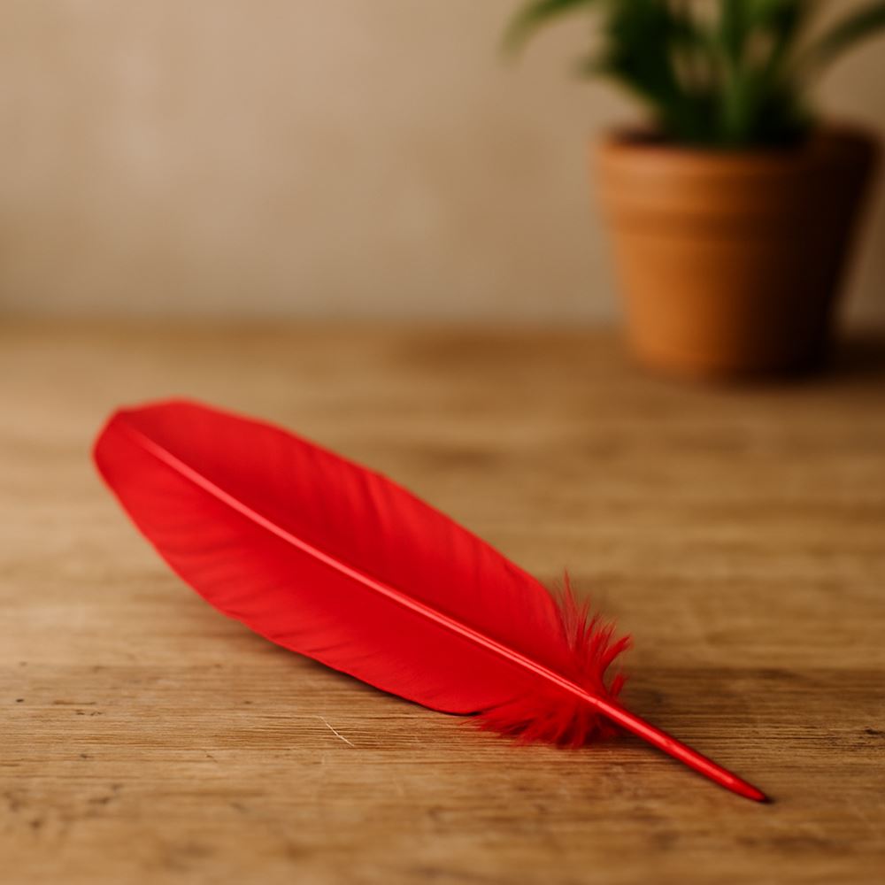 Turkey Feather