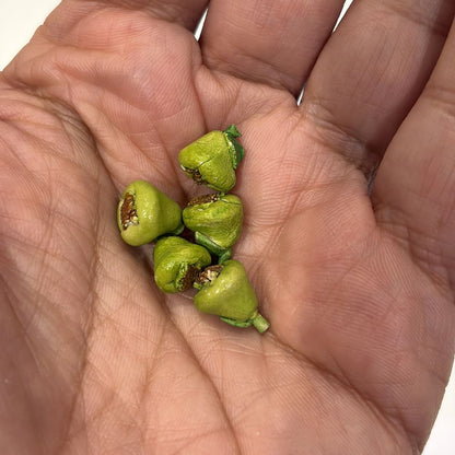 Mini Ceramic, 0.5 to 2 Cm