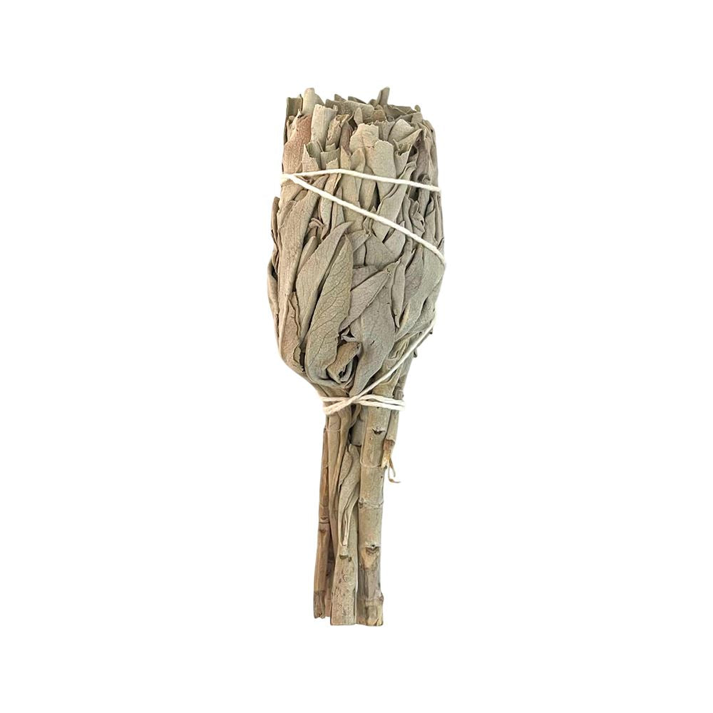 Smudge Stick, Torch White Sage 4"