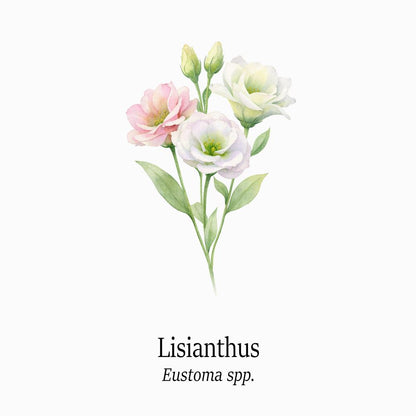 Petal Keepsakes Gemstone Bracelet, Lisianthus