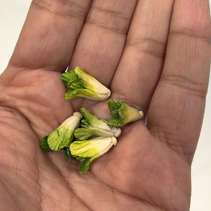 Mini Ceramic, 0.5 to 2 Cm