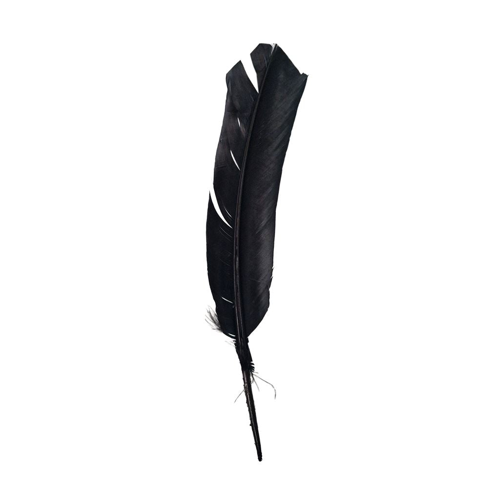 Turkey Feather, 10-12 inch, Single - image 8