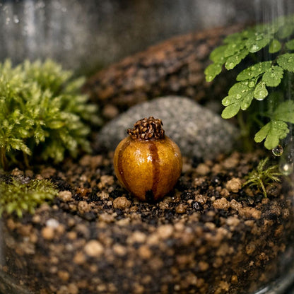 Mini Ceramic, 0.5 to 2 Cm