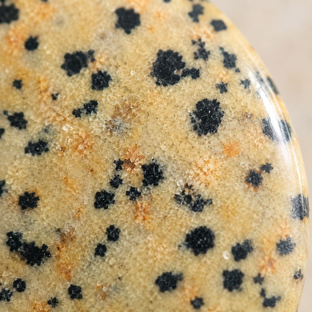 Worry Thumb Stone, Dalmatian Jasper