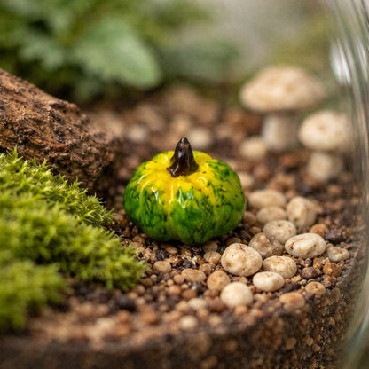 Mini Ceramic, 0.5 to 2 Cm