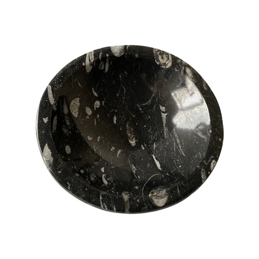 Orthoceras Bowl, 10x2cm