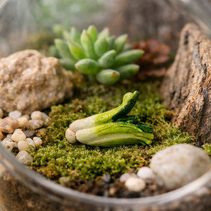 Mini Ceramic, 0.5 to 2 Cm