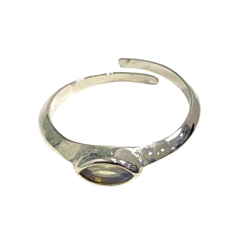 Silver-Plated Adjustable Ring (#28)