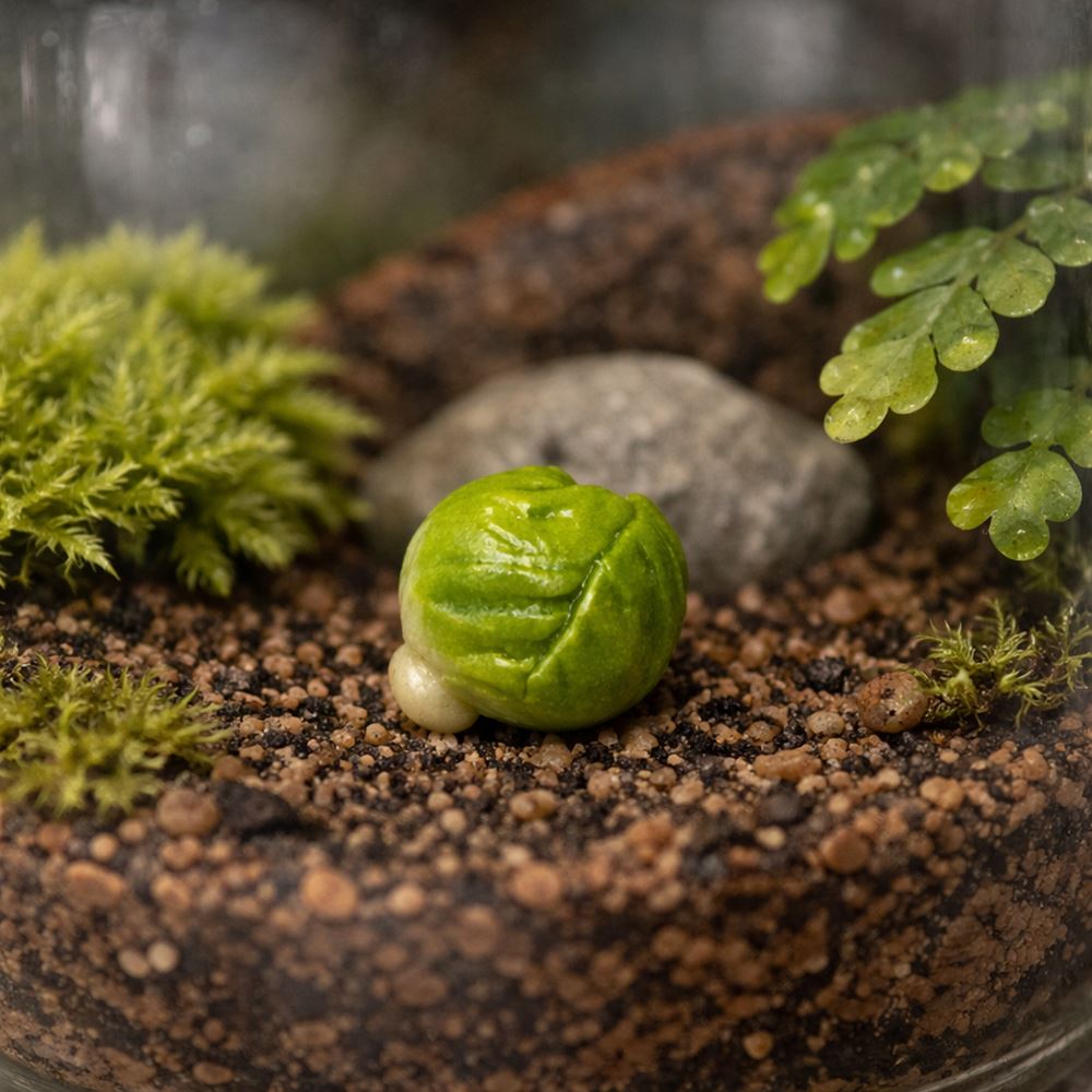 Mini Ceramic, 0.5 to 2 Cm